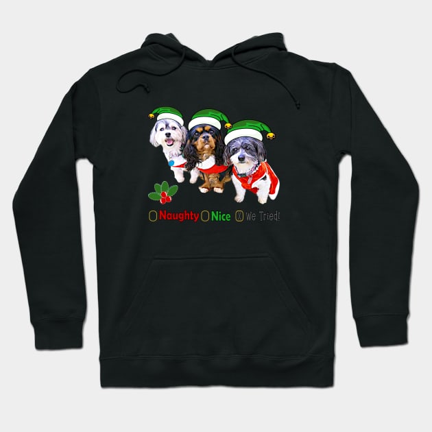 Naughty or Nice Dog Holiday Gifts Hoodie by THE Dog Designs